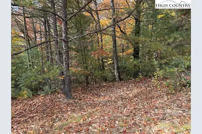 Lot 209 Casey Mountain Road, Purlear, NC 28665 - Photo 6