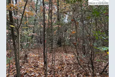 Lot 209 Casey Mountain Road, Purlear, NC 28665 - Photo 2