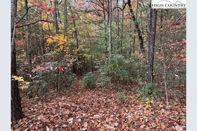 Lot 209 Casey Mountain Road, Purlear, NC 28665 - Photo 6