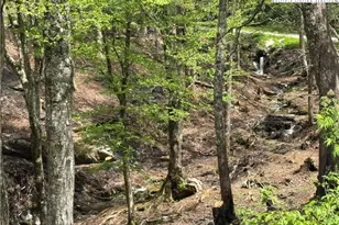 Lots 37 and 38 Snow Ridge Rd, Banner Elk, NC 28604 - Photo 1