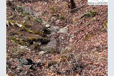 Lots 37 and 38 Snow Ridge Road, Banner Elk, NC 28604 - Photo 2