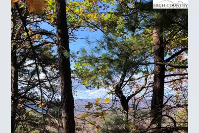 Lot 96 Buck Mountain Road, Purlear, NC 28665 - Photo 14