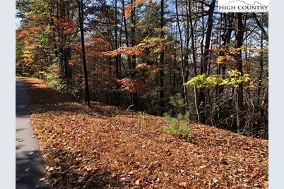Lot 96 Buck Mountain Road, Purlear, NC 28665 - Photo 10