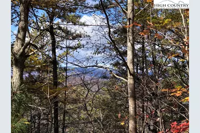 Lot 96 Buck Mountain Road, Purlear, NC 28665 - Photo 4
