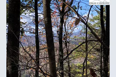 Lot 96 Buck Mountain Road, Purlear, NC 28665 - Photo 12