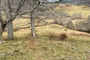 7874 Flat Ridge Rd, Troutdale, VA 24378 - Photo 30