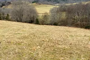 7874 Flat Ridge Rd, Troutdale, VA 24378 - Photo 32