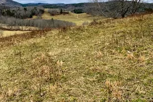 7874 Flat Ridge Rd, Troutdale, VA 24378 - Photo 4