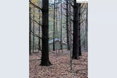 574 Three Creeks Lane, Sparta, NC 28675 - Photo 26