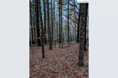 574 Three Creeks Lane, Sparta, NC 28675 - Photo 28