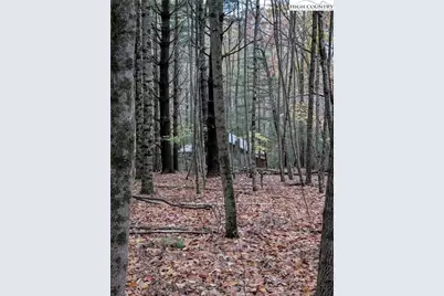 574 Three Creeks Lane, Sparta, NC 28675 - Photo 22