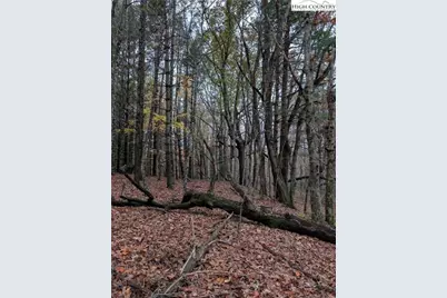 574 Three Creeks Lane, Sparta, NC 28675 - Photo 16