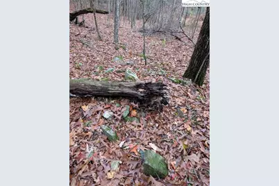 574 Three Creeks Lane, Sparta, NC 28675 - Photo 14