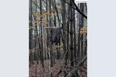 574 Three Creeks Lane, Sparta, NC 28675 - Photo 20