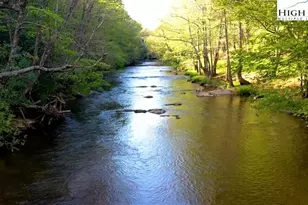 56 Buttons Ln, Sparta, NC 28675 - Photo 40