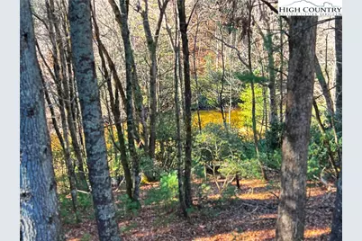 56 Buttons Lane, Sparta, NC 28675 - Photo 4