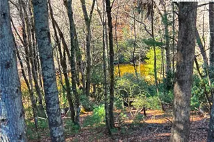 56 Buttons Ln, Sparta, NC 28675 - Photo 4