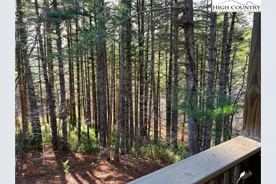 56 Buttons Lane, Sparta, NC 28675 - Photo 6