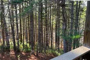 56 Buttons Ln, Sparta, NC 28675 - Photo 6