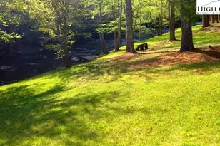 56 Buttons Ln, Sparta, NC 28675 - Photo 38