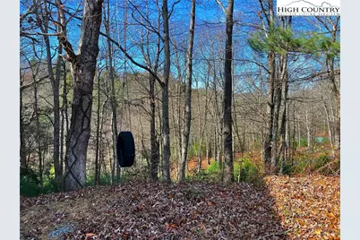 56 Buttons Lane, Sparta, NC 28675 - Photo 36