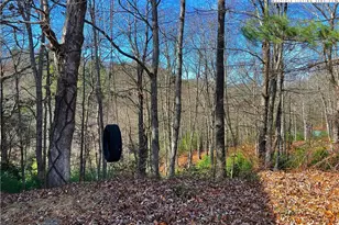 56 Buttons Ln, Sparta, NC 28675 - Photo 36