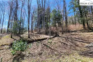 Lot 36 Running Bear Circle, Banner Elk, NC 28604 - Photo 1