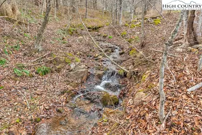 9716 Three Top, Todd, NC 28684 - Photo 14