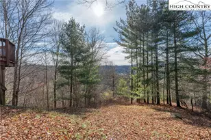 419 Billy Billings Rd, Vilas, NC 28692 - Photo 44