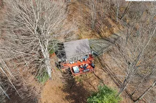 419 Billy Billings Rd, Vilas, NC 28692 - Photo 38