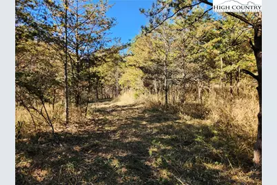 701 Moravian Falls Road, Wilkesboro, NC 28697 - Photo 4