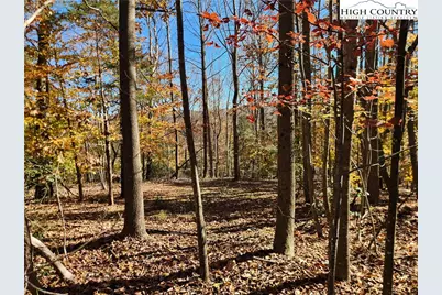 701 Moravian Falls Road, Wilkesboro, NC 28697 - Photo 28