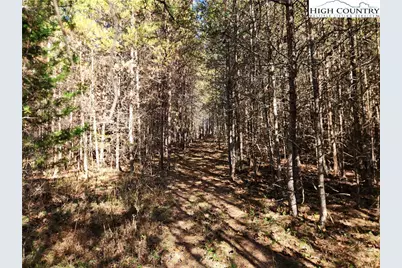 701 Moravian Falls Road, Wilkesboro, NC 28697 - Photo 26