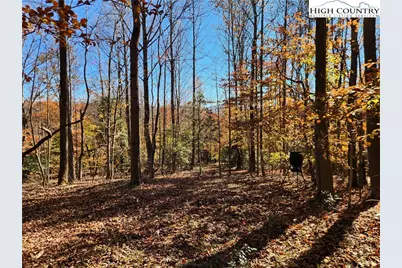 701 Moravian Falls Road, Wilkesboro, NC 28697 - Photo 2