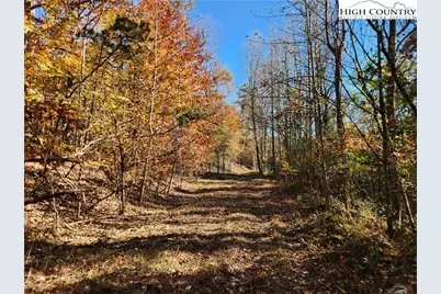 701 Moravian Falls Road, Wilkesboro, NC 28697 - Photo 16