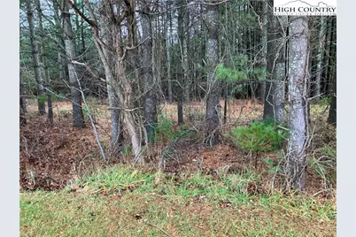 Tbd Shawtown Road, Glade Valley, NC 28627 - Photo 6