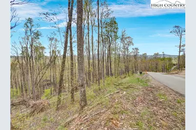 C51 Eagles Nest Lane, Elk Park, NC 28604 - Photo 2