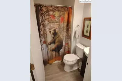 231 Gap Creek, Fleetwood, NC 28626 - Photo 24