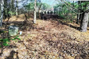 231 Gap Creek, Fleetwood, NC 28626 - Photo 10