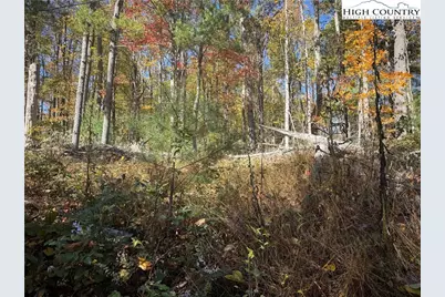 Tbd Oak Tree Lane, Jefferson, NC 27640 - Photo 4