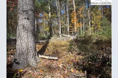 Tbd Oak Tree Lane, Jefferson, NC 27640 - Photo 2