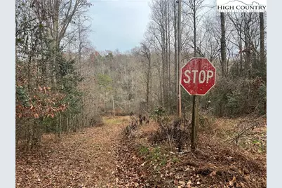 0 Rooley Lane, Dobson, NC 27017 - Photo 40