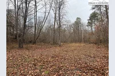 0 Rooley Lane, Dobson, NC 27017 - Photo 44