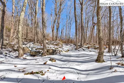 22 S Indian Rock Drive, Banner Elk, NC 28604 - Photo 8