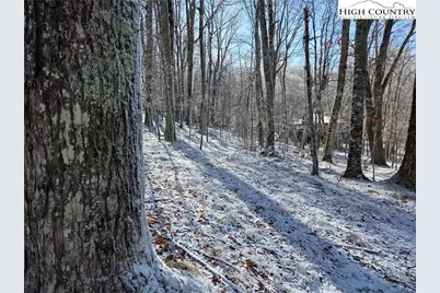 107 Spring Branch Road, Beech Mountain, NC 28604 - Photo 2