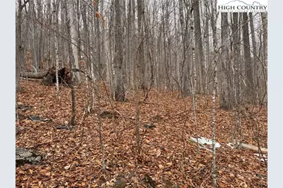 Lot 28 Elk Creek Mountain Parkway, Todd, NC 28684 - Photo 8