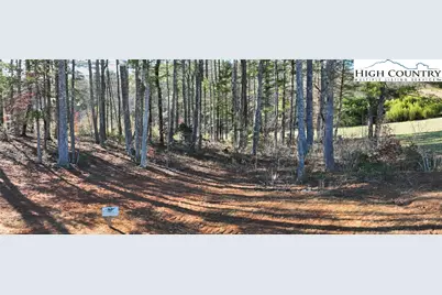 2.66 Acres, 4098 Derbyshire Lane, Lenoir, NC 28645 - Photo 6
