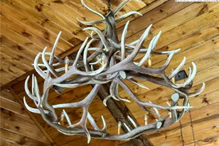 543 Broken Arrow Trail, Boone, NC 28607 - Photo 12