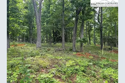 7 Autumn Lane, West Jefferson, NC 28694 - Photo 4