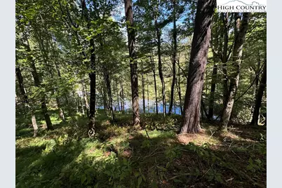 63 Village Pine Drive, Jefferson, NC 28640 - Photo 2